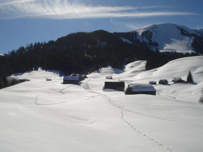 Schneeschuhwandern Bregenzerwald