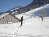 Schneeschuhwandern Bregenzerwald